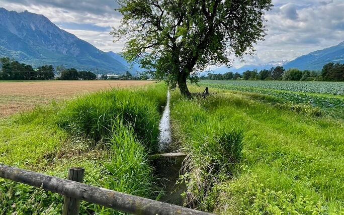 Kleiner Bach im Schaaner Riet