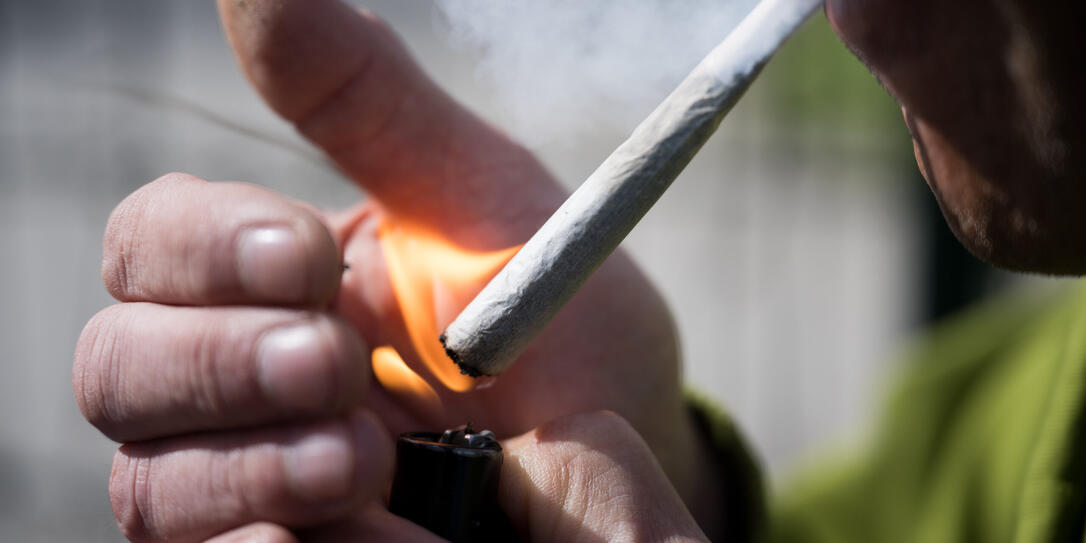 Cannabis Cannabis