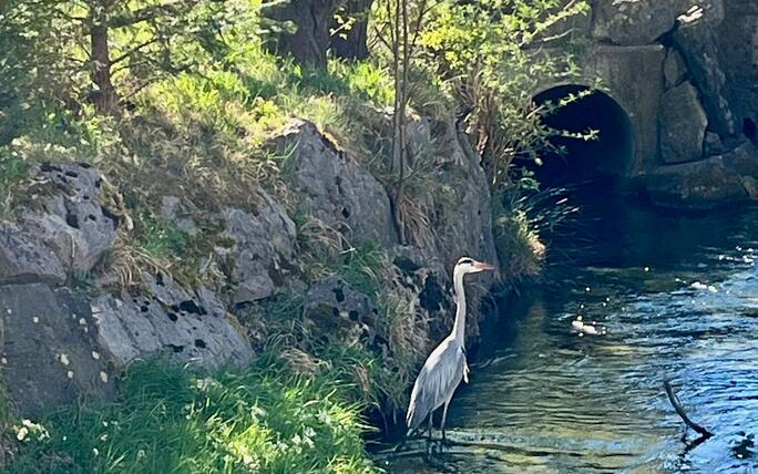 Besuch im Wäschgräble