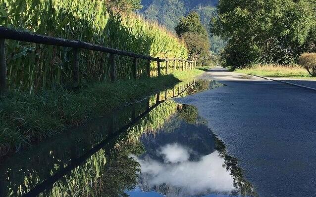 Spiegelung beim Umspannwerk