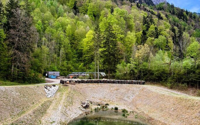 «Im Schaaner Wald ist es einfach am schönsten!», schreibt Severin Quaderer.