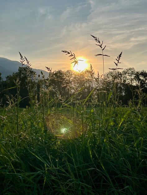 Abendgruss in Schaan
