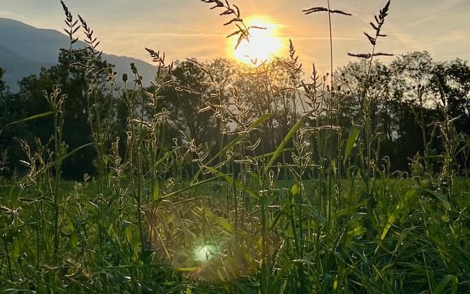 Abendgruss in Schaan