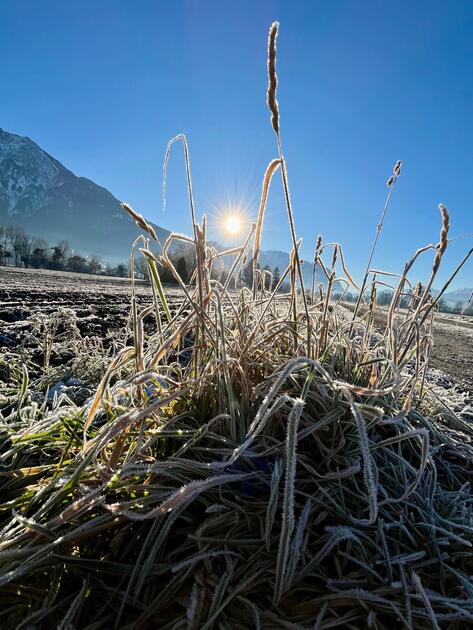 Frostiger Start in den Tag