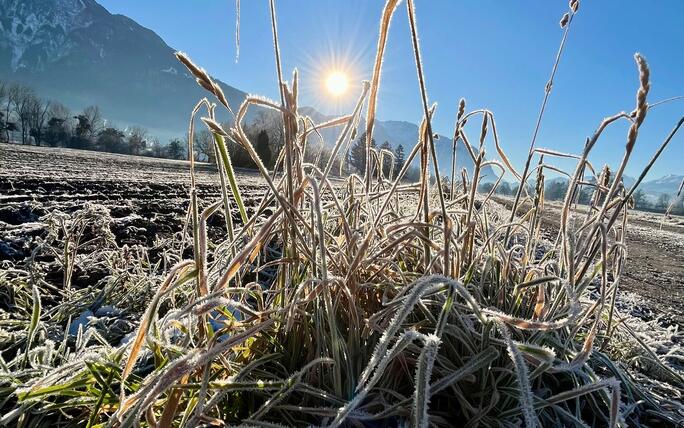 Frostiger Start in den Tag