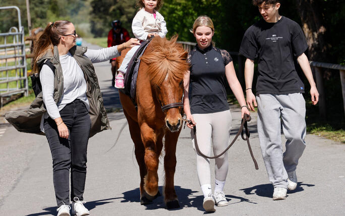 Mauren-attraktiv mit  zahlreichen teilnehmenden Unternehmen